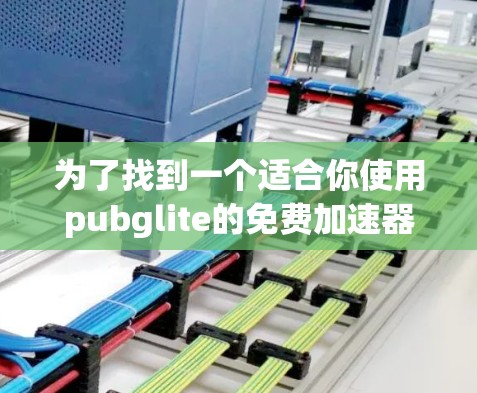 为了找到一个适合你使用pubglite的免费加速器，你可以按照以下步骤操作