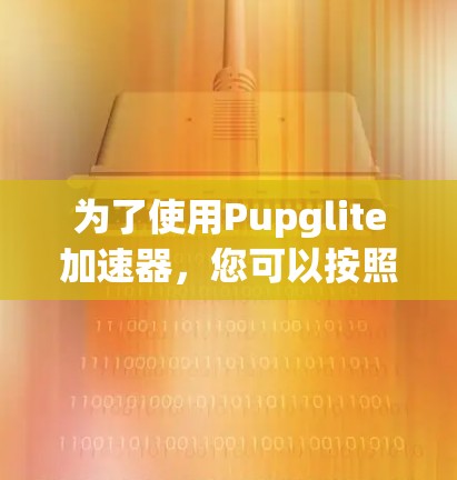 为了使用Pupglite加速器，您可以按照以下步骤操作