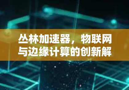 丛林加速器，物联网与边缘计算的创新解决方案