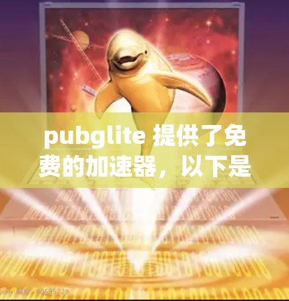 pubglite 提供了免费的加速器，以下是几个推荐的工具，帮助您快速加速游戏