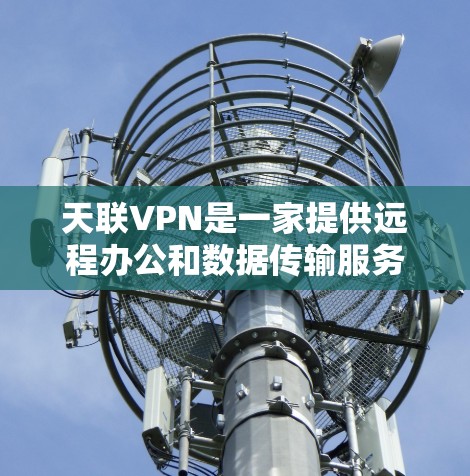 天联VPN是一家提供远程办公和数据传输服务的平台，以其先进的加密技术和区块链技术著称。以下是对其的详细介绍