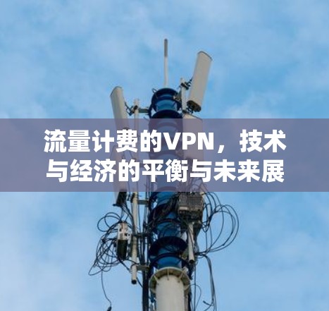 流量计费的VPN,技术与经济的平衡与未来展望 流量计费的VPN,技术与经济的平衡与未来展望