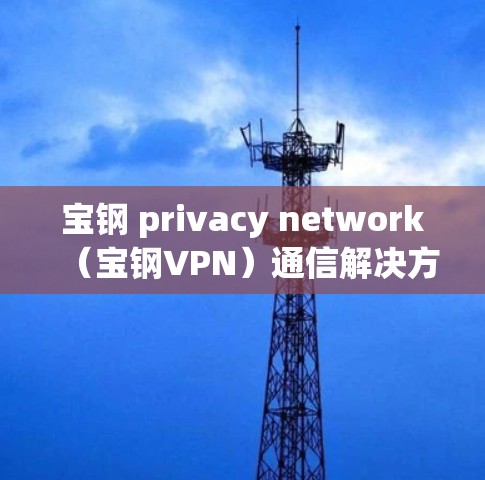宝钢 privacy network(宝钢VPN)通信解决方案的创新与应用 宝钢 privacy network(宝钢VPN)通信解决方案的创新与应用