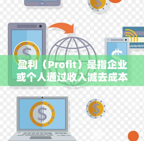 盈利（Profit）是指企业或个人通过收入减去成本和运营费用后的净收益。它通常表示在商业活动中，企业或个人赚取了超过投入成本的收入。以下是对盈利的详细分析