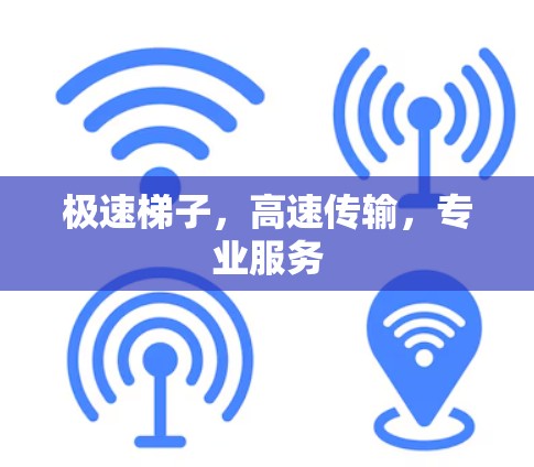 极速梯子，高速传输，专业服务