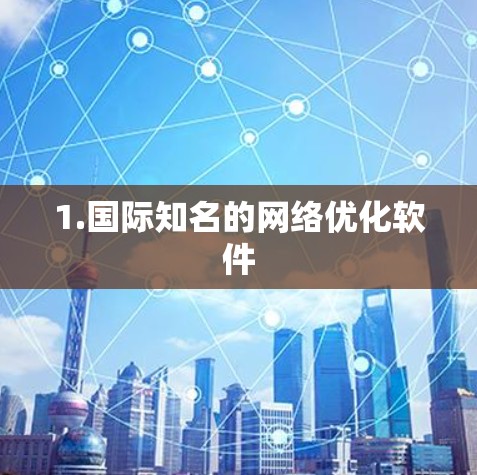 1.国际知名的网络优化软件