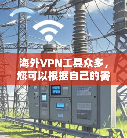 海外VPN工具众多，您可以根据自己的需求和预算来选择合适的工具。以下是一些常见的海外VPN工具及其特点