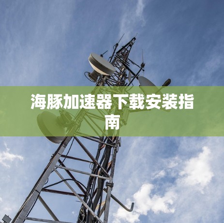 海豚加速器下载安装指南 海豚加速器下载安装指南