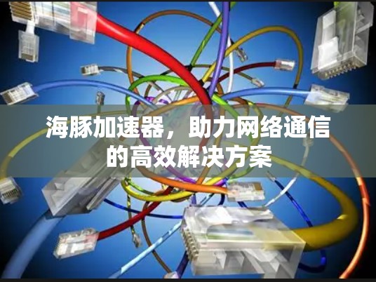 海豚加速器，助力网络通信的高效解决方案