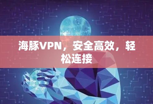 海豚VPN,安全高效,轻松连接 海豚VPN,安全高效,轻松连接