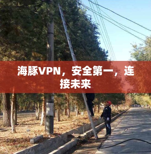 海豚VPN，安全第一，连接未来