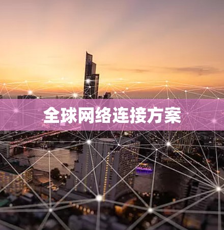 全球网络连接方案