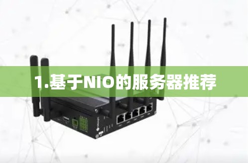 1.基于NIO的服务器推荐 1.基于NIO的服务器推荐