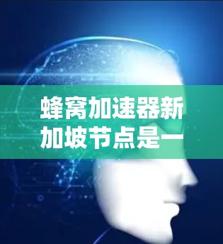 蜂窝加速器新加坡节点是一种通过特定结构和机制加速网络流量传输的技术,主要用于提升数据传输速度和减少延迟。以下是对该技术的详细分析 蜂窝加速器新加坡节点是一种通过特定结构和机制加速网络流量传输的技术,主要用于提升数据传输速度和减少延迟。以下是对该技术的详细分析